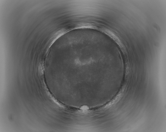 X0000110961377200906261332