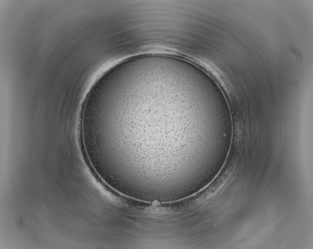 X0000110961379200906261332