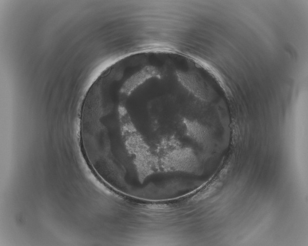 X0000110961383200906261332