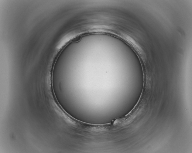 X0000110961384200906261332