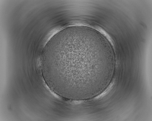X0000110961385200906261332
