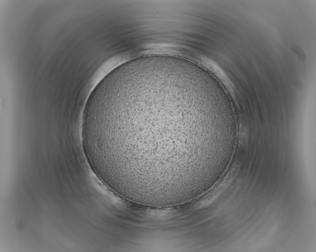 X0000110961386200906261332
