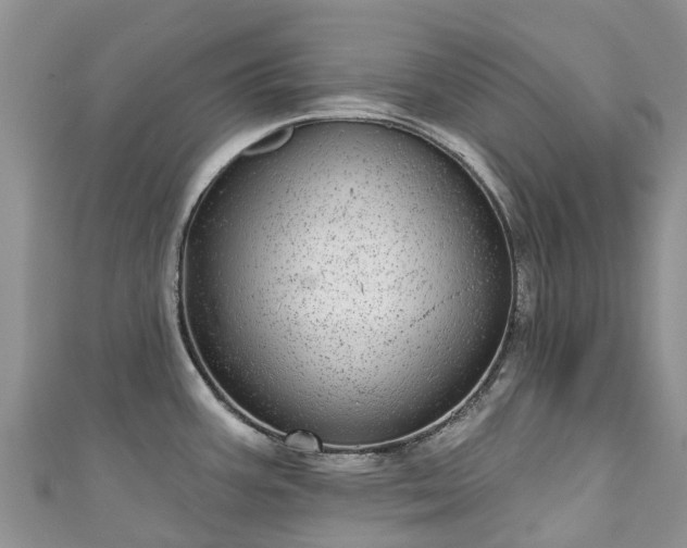 X0000110961387200906261332