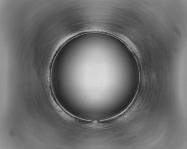 X0000110961388200906261332