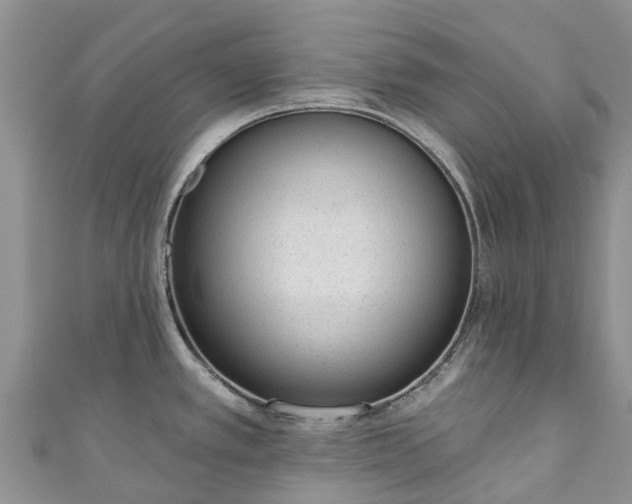X0000110961389200906261332