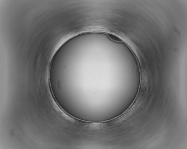 X0000110961390200906261332