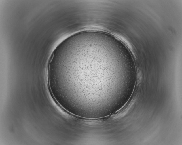 X0000110961391200906261332