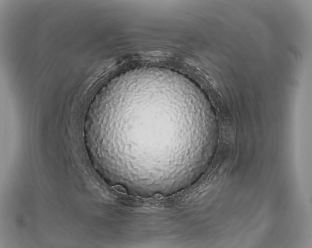 X0000110961393200906261332