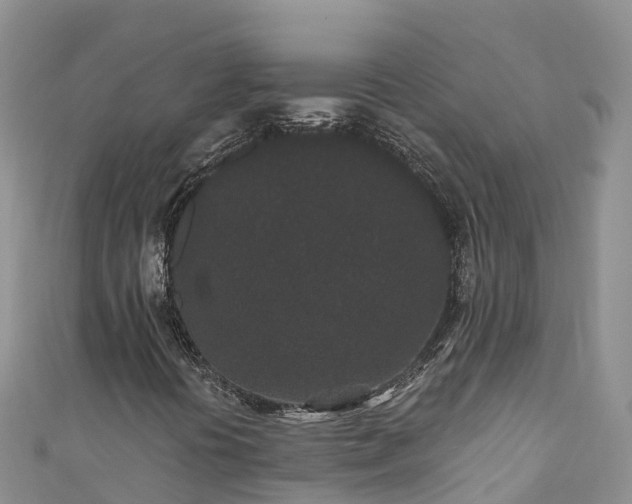 X0000110961394200906261332