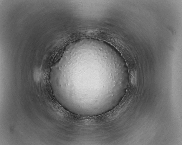 X0000110961395200906261332