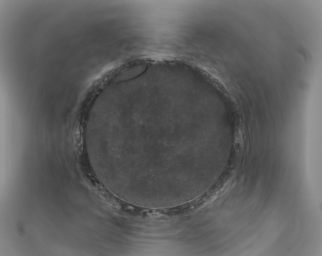 X0000110961398200906261332