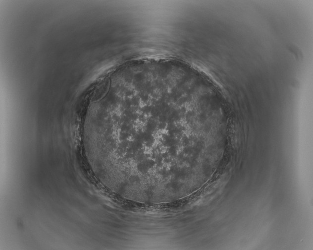 X0000110961399200906261332