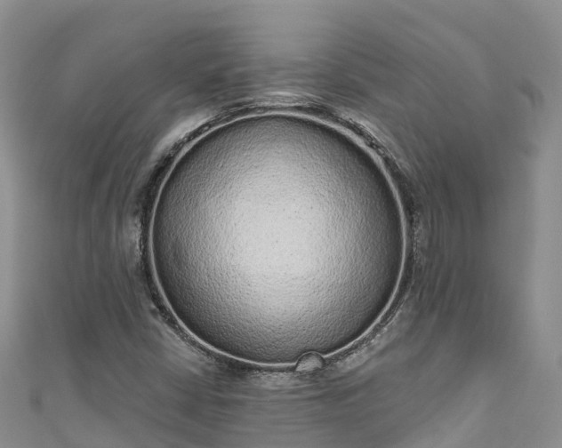 X0000110961402200906261332