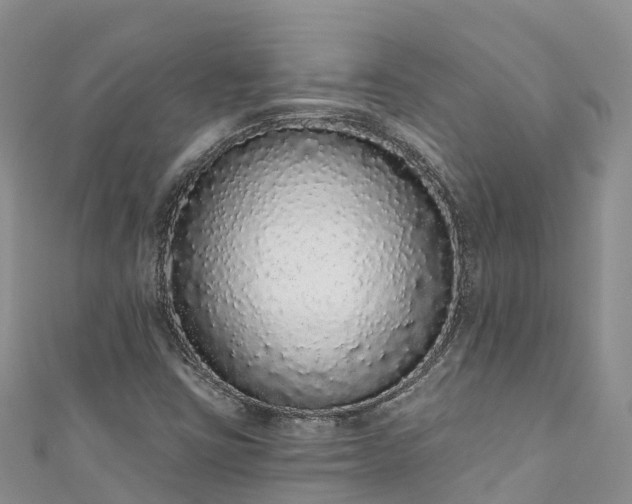 X0000110961403200906261332