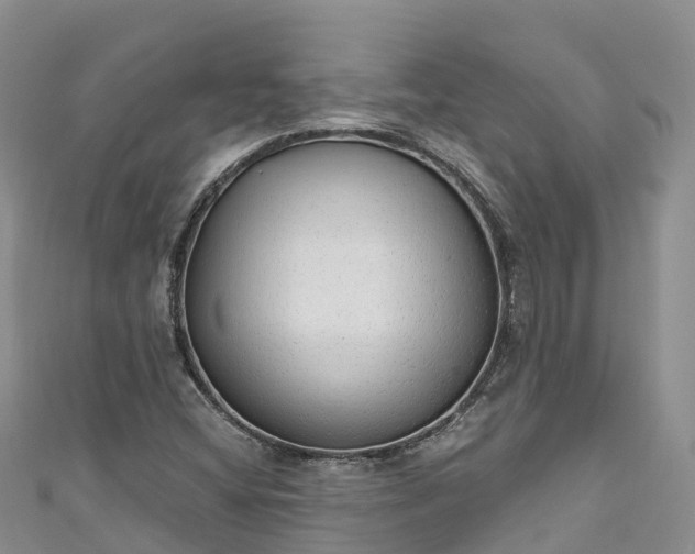 X0000110961404200906261332