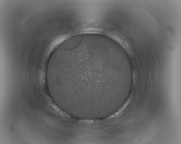 X0000110961405200906261332