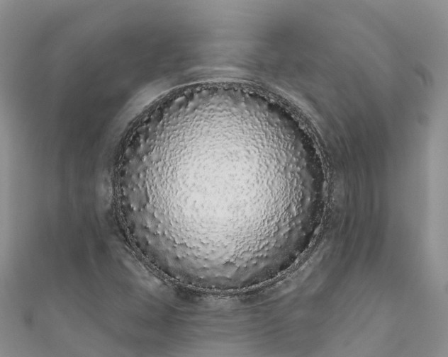 X0000110961407200906261332