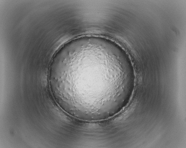 X0000110961409200906261332