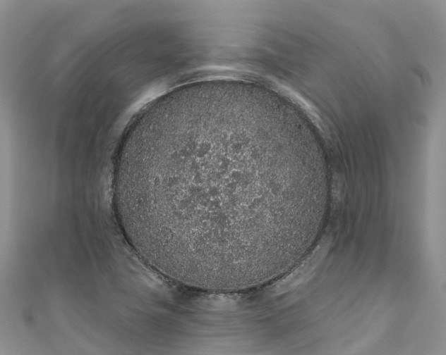 X0000110961411200906261332