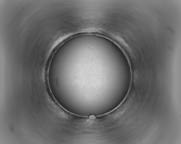 X0000110961412200906261332