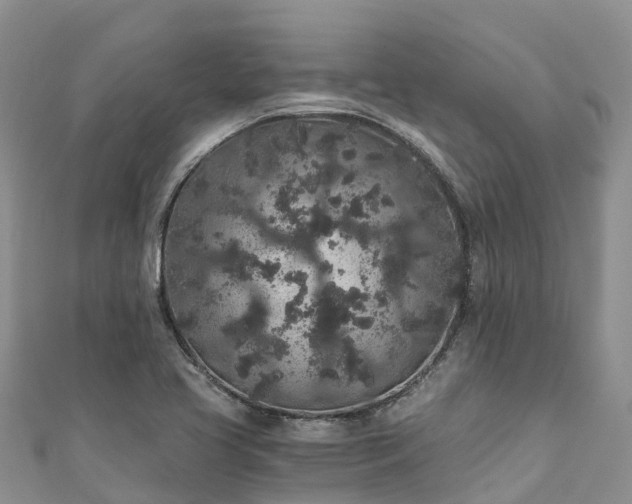 X0000110961413200906261332