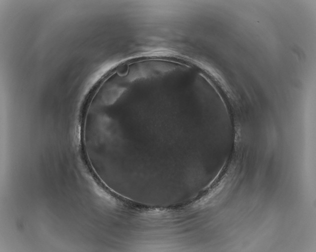 X0000110961414200906261332