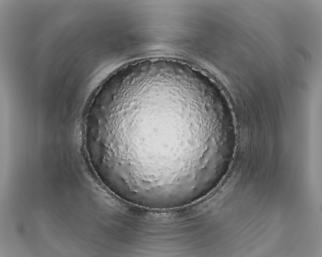 X0000110961415200906261332