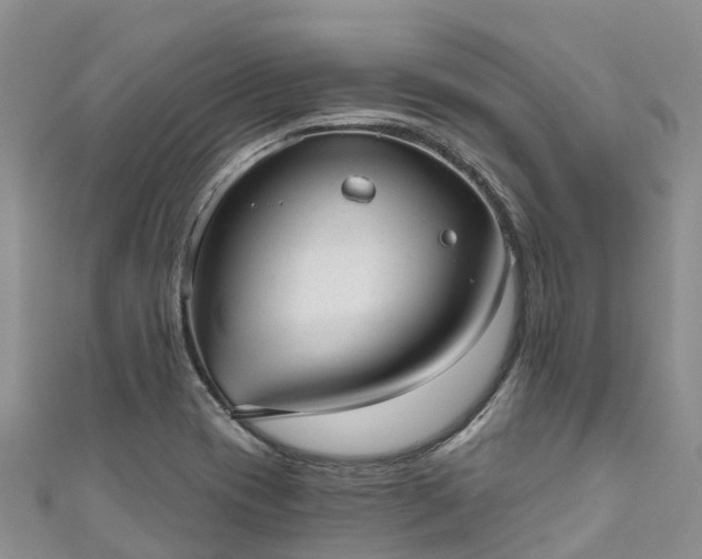 X0000110961417200906261332