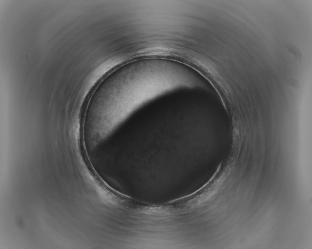 X0000110961418200906261332