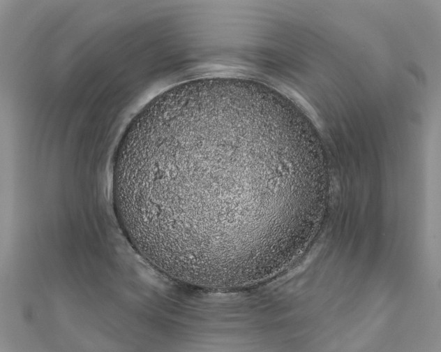 X0000110961419200906261332