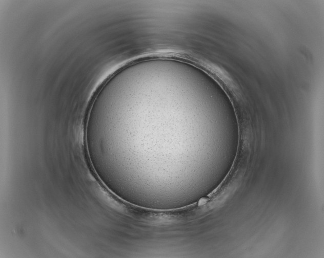 X0000110961420200906261332