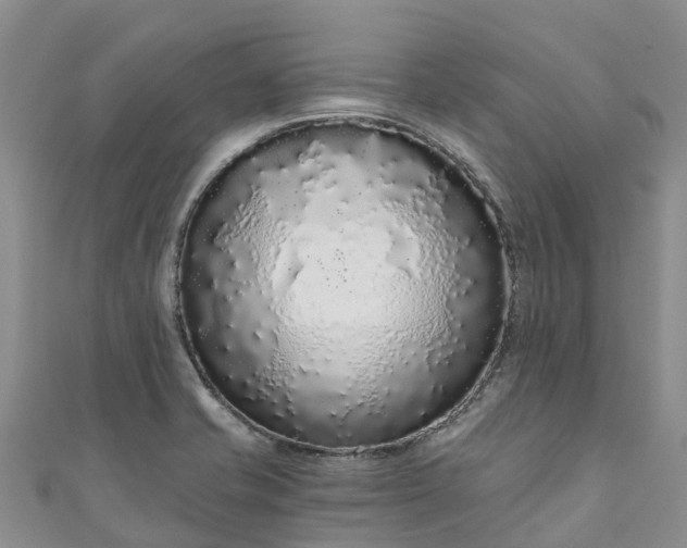 X0000110961421200906261332