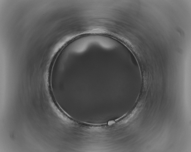 X0000110961422200906261332