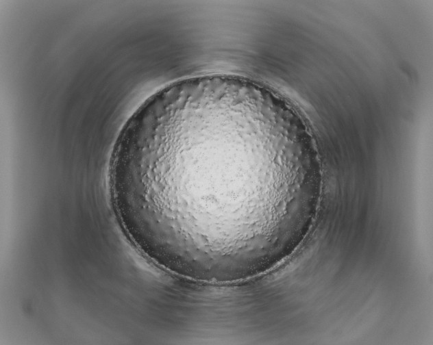 X0000110961423200906261332