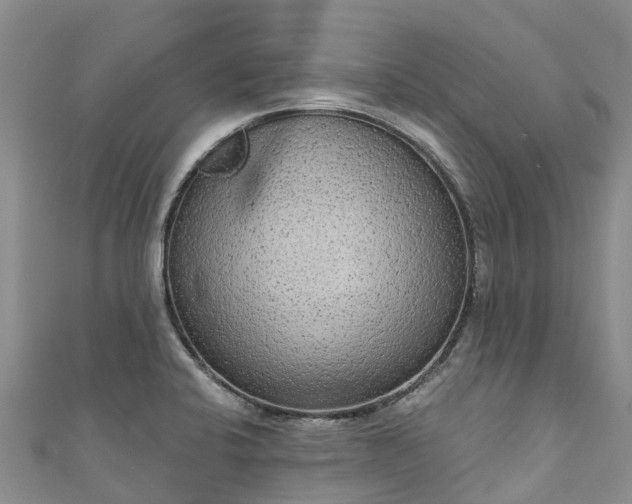 X0000110961424200906261332