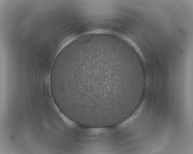 X0000110961425200906261332