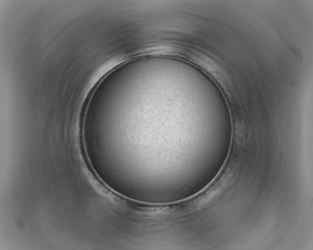 X0000110961426200906261332