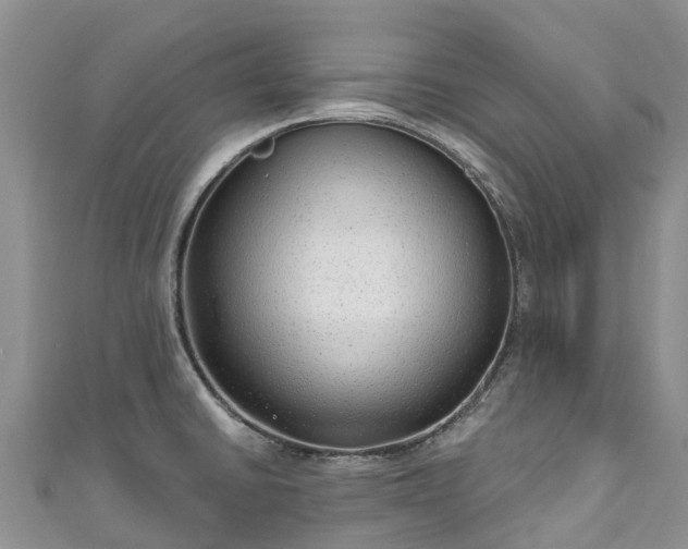 X0000110961430200906261332