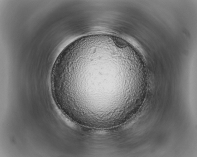 X0000110961431200906261332