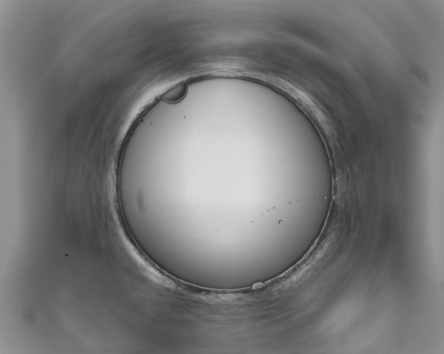 X0000110961432200906261332