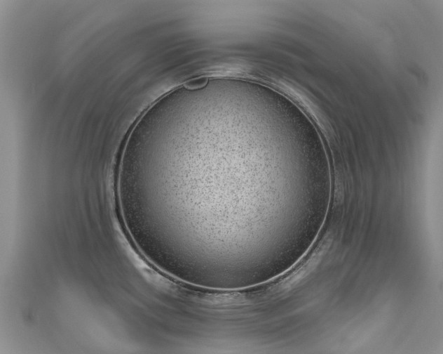 X0000110961434200906261332