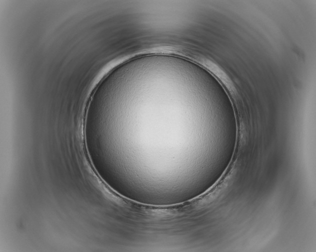 X0000110961436200906261332