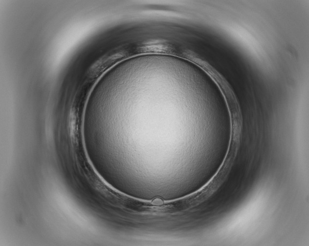 X0000110961438200906261332