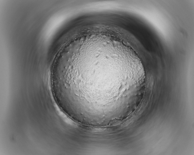 X0000110961439200906261332