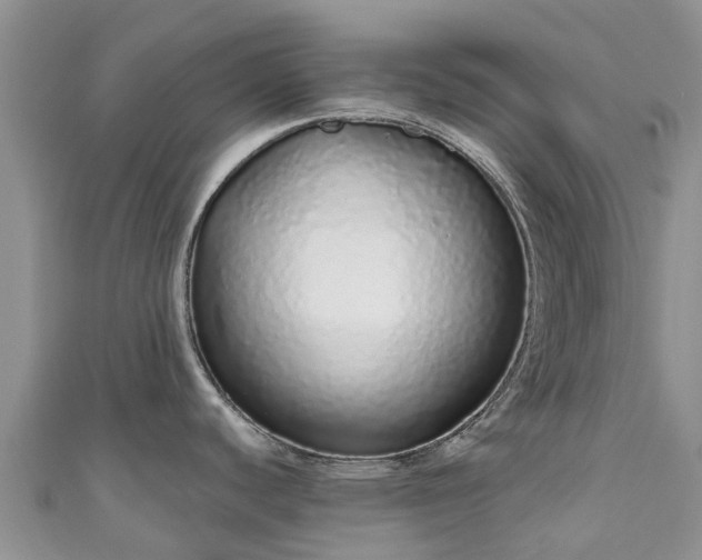 X0000110961440200906261332