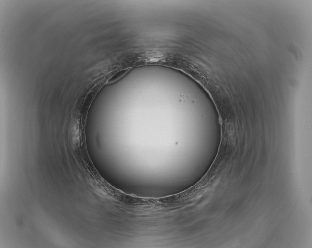X0000110961442200906261331