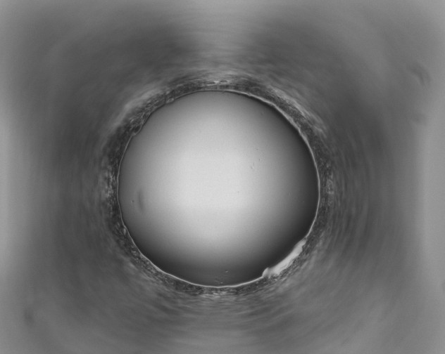 X0000110961447200906261331