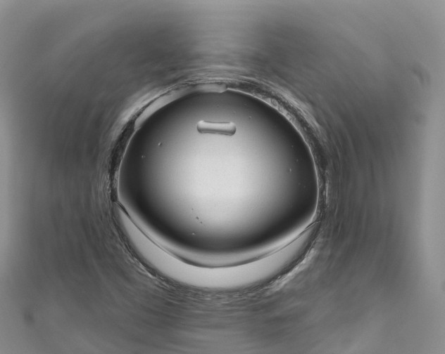 X0000110961453200906261331