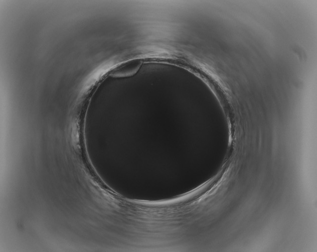 X0000110961455200906261331