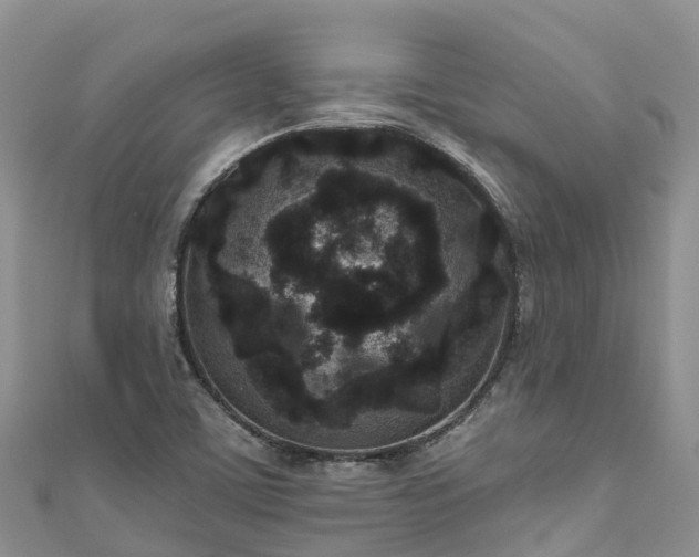 X0000110961459200906261331